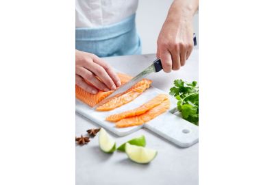 Couteau OPINEL Intempora No221