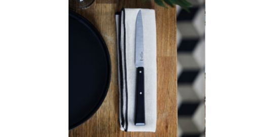 Set de couteaux OPINEL Bon Appétit Pro 125
