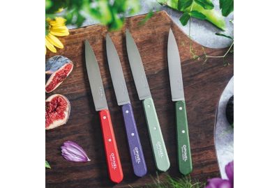 Set de couteaux OPINEL Coffret de 4 pcs N112 Paysage