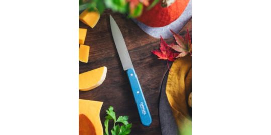 Couteau OPINEL Coffret de 4 pcs N112 Paysage