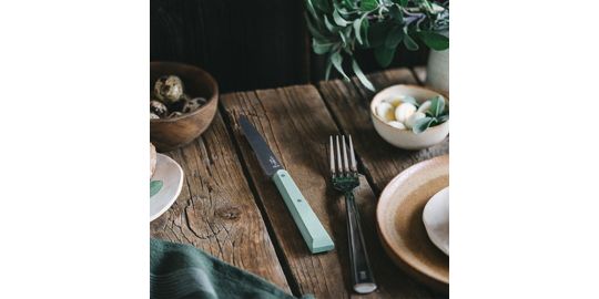Set de couteaux OPINEL Coffret 4pcs Bon Appetit Sauge