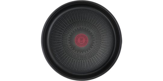 Poêle TEFAL Ingenio Eco Resist 20 cm
