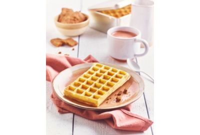 Plaque LAGRANGE plaque 4*7 pour premium gaufres