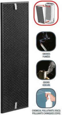 Filtre ROWENTA à charbon XD6061F0