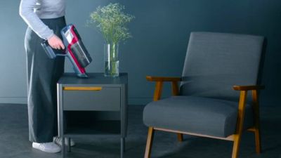 Voir la vidéo pour ROWENTA RH6472WO X PERT 6.60 Smart modele animal