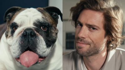 Voir la vidéo pour Aspirateur balai ROWENTA X Force Flex 14.80 RH9B74WO