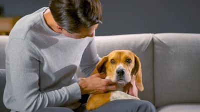 Voir la vidéo pour Aspirateur balai ROWENTA X Force Flex 10.80 RH7A73E0