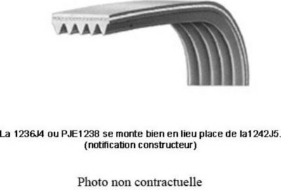 Courroie FAGOR COURROIE 1175 J5 - 96X2024 Courroie FAGOR COURROIE 1175 J5 - 96X2024