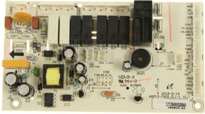 Carte BRANDT carte de puissance