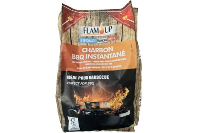 Charbon de bois instantané
