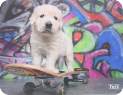 Tapis de souris TNB TSPUPPY