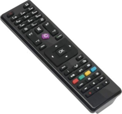 Télécommande HOME EQUIPEMENT 30087730