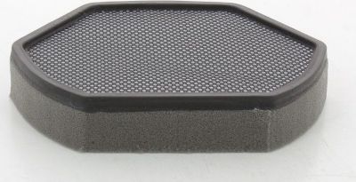 Filtre BOSCH B579275