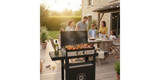 Plancha gaz LE MARQUIER FRANCAISE 250 GAZ DUO PLFO250DCV2