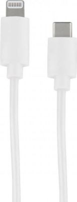 Câble Ethernet METRONIC Câble MFI /USB-C pour iPhone iPad 1 m -