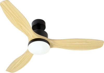 Ventilateur plafonnier FARELEK 112439