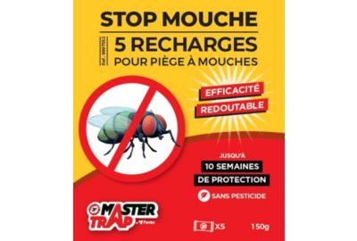 Tueurs insectes MASTER TRAP stop mouches x5