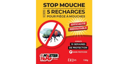Tueurs insectes MASTER TRAP stop mouches x5