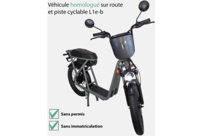 Draisienne électrique WISPEED WIMOB 2 Gris - Homologué