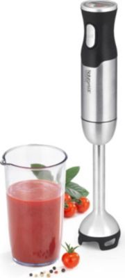 Mixeur NATURAMIX POWER1000