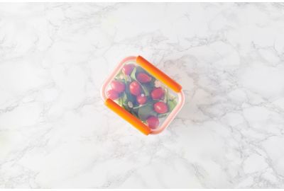 Boîte hermétique MASTRAD de conservation lot de 3