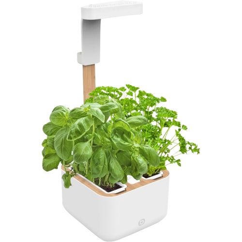 Kit de Culture pour plantes d'intérieur - Jardinage Intérieur