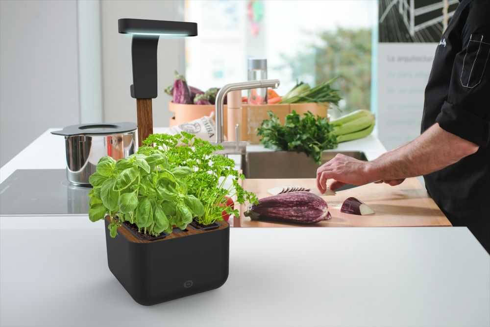 Jardin d'intérieur essentielb ADAM