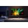 Location TV HISENSE OLED 65A9GQ Reconditionné Grade B