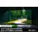 Location TV SAMSUNG NeoQLED QE55QN95B Reconditionné Grade B