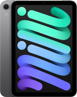 Tablette Apple IPAD Mini 256Go Gris sidéral Reconditionné