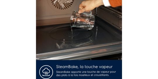 Four Pyro ELECTROLUX EOD6P67WH SteamBake