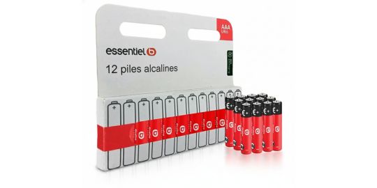 Pile ESSENTIELB LR03 AAA Lot 12 piles