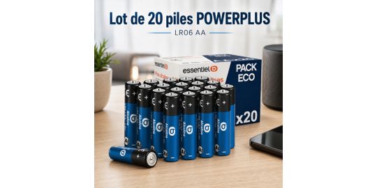Pile ESSENTIELB LR06 AA Lot 20 piles