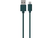 Câble Lightning ESSENTIELB vers USB 1m vert certifie Apple