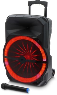 Enceinte sono ESSENTIELB PARTY15