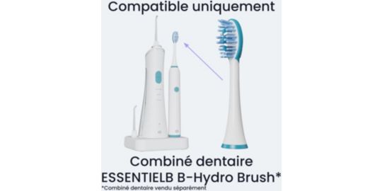 Brossette dentaire ESSENTIELB 4 brossettes pour combiné dentaire Essb