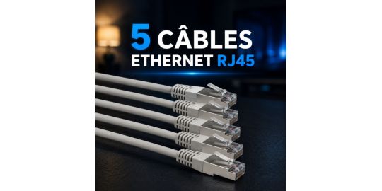 Câble Ethernet ESSENTIELB 0.25M PACK x5