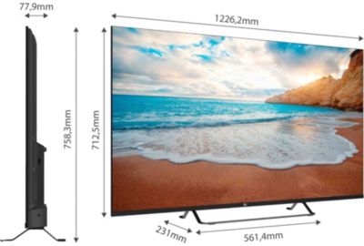 TV QLED ESSENTIELB 55QLED308