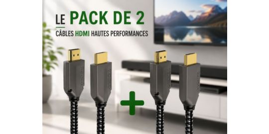 Câble HDMI ADEQWAT x2 HDMI 2.1 droit noir 1M5