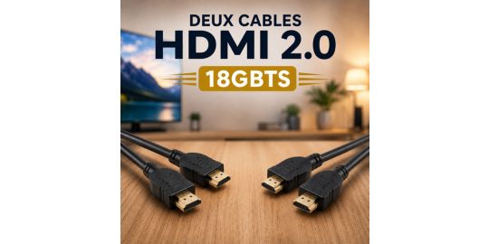 Câble HDMI ESSENTIELB x2 HDMI 2M noir droit 2.0