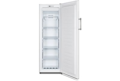 Congélateur armoire ESSENTIELB ECAV170-55hib4