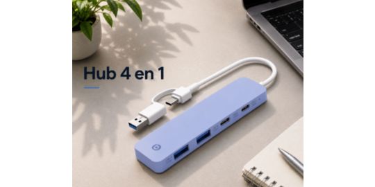 Hub USB C ESSENTIELB USB-C 4 en 1 Violet - Vr