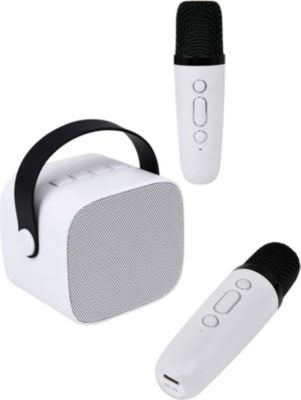 Enceinte portable PARTY Party Btmic 15 W Sans Fil Bluetooth 5.1