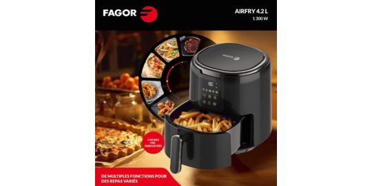 Friteuse sans huile FAGOR FG4210 4.5L