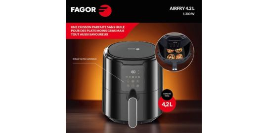 Friteuse sans huile FAGOR FG4210 4.5L