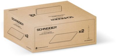Kit accessoires SCHNEIDER nettoyantes x2