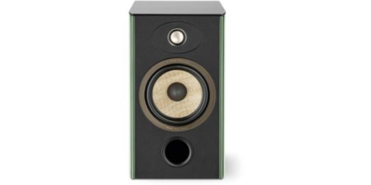 Enceinte bibliothèque FOCAL ARIA EVO X N1 MOSS GREEN HG