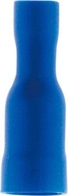 ZENITECH 10 cosses bleu fiches femelles 5 mm - Ze