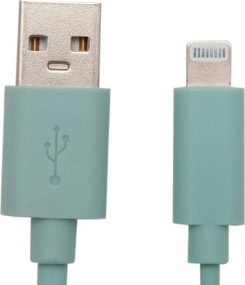 Câble Lightning APM CABLE LIGHTNING MFI MINT 1M