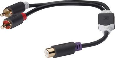 Câble Jack CONECTICPLUS Câble 2 RCA mâles-RCA femelle gold